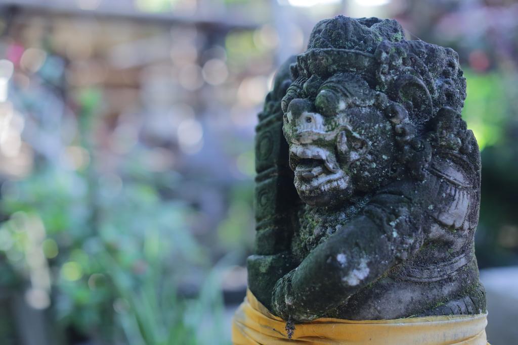 Karang Mesari Ubud Guest House 외부 사진