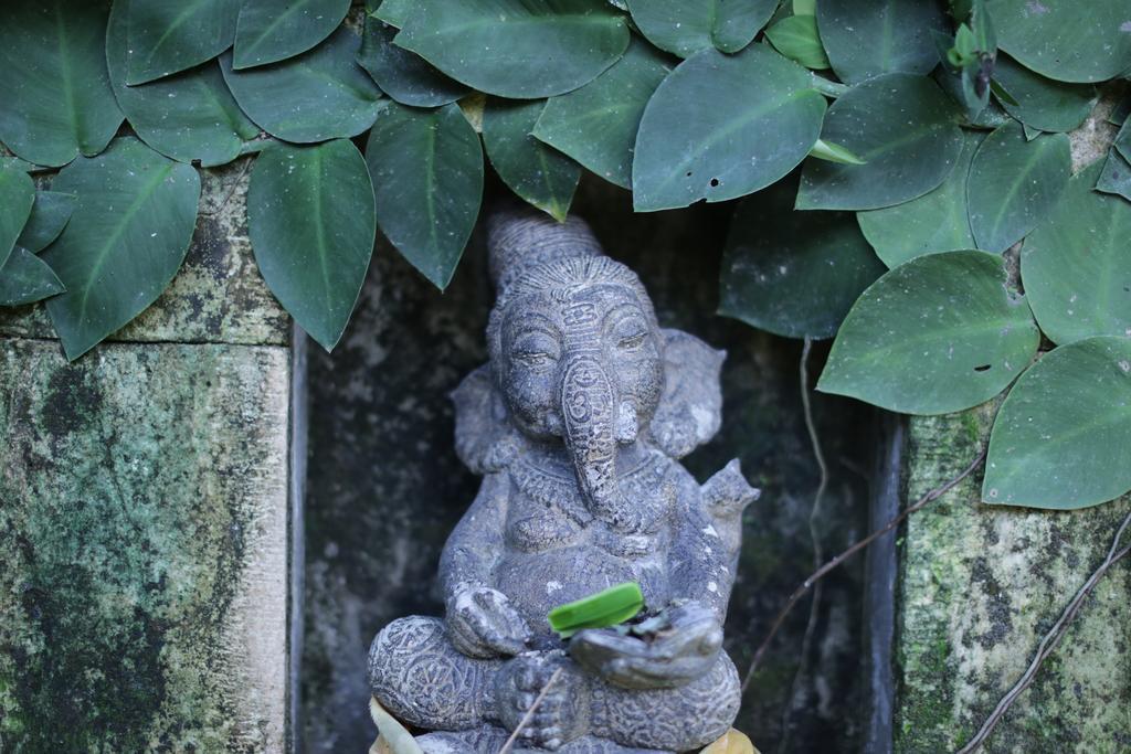 Karang Mesari Ubud Guest House 외부 사진