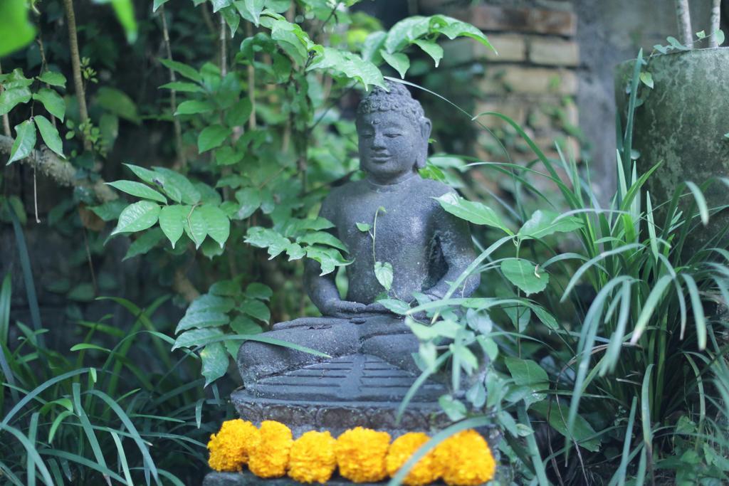 Karang Mesari Ubud Guest House 외부 사진