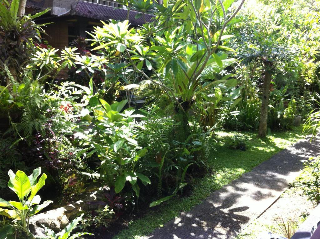 Karang Mesari Ubud Guest House 외부 사진
