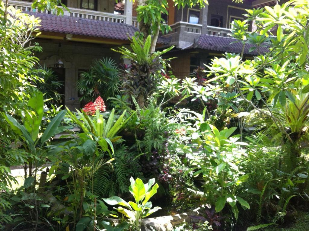 Karang Mesari Ubud Guest House 외부 사진