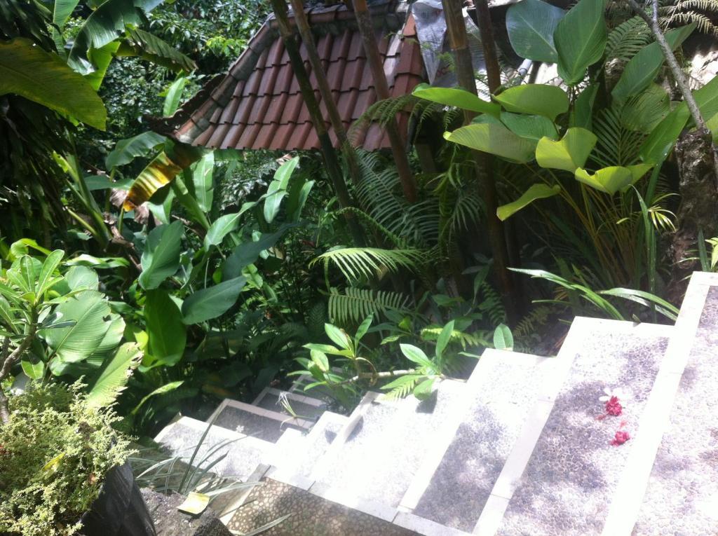 Karang Mesari Ubud Guest House 외부 사진