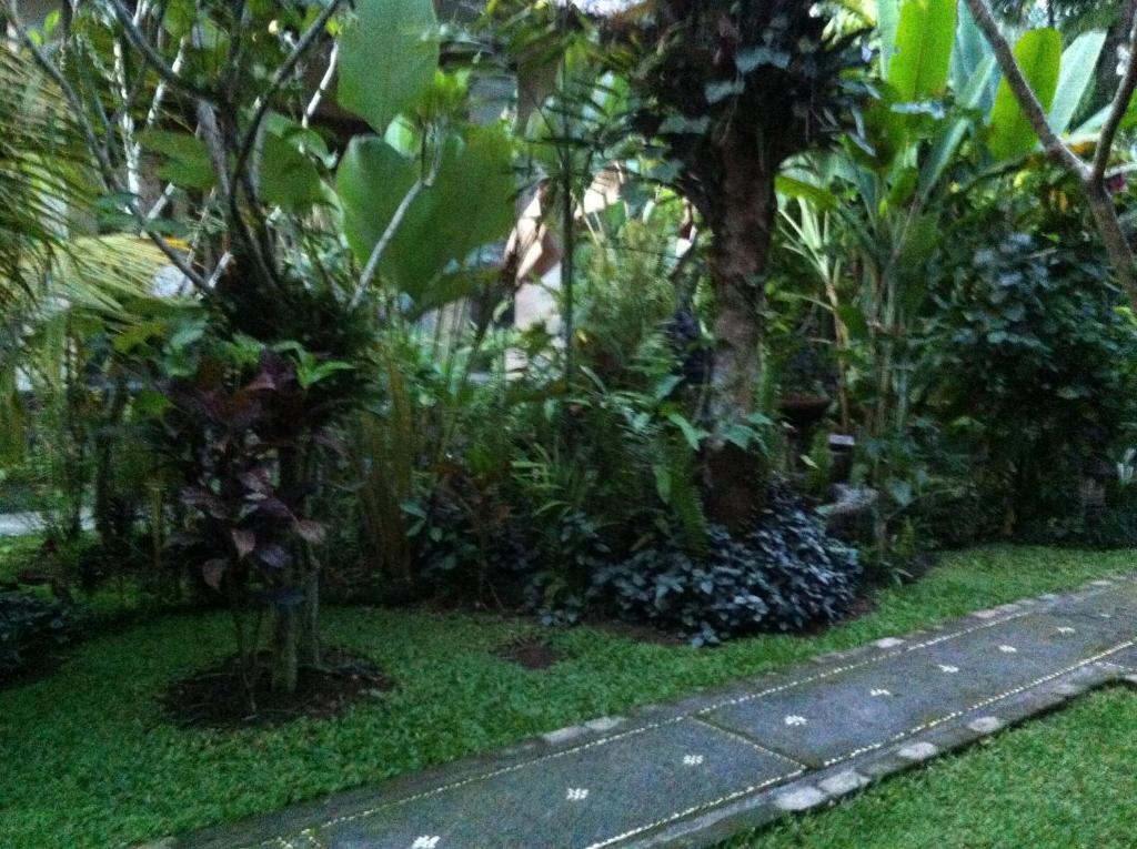 Karang Mesari Ubud Guest House 외부 사진