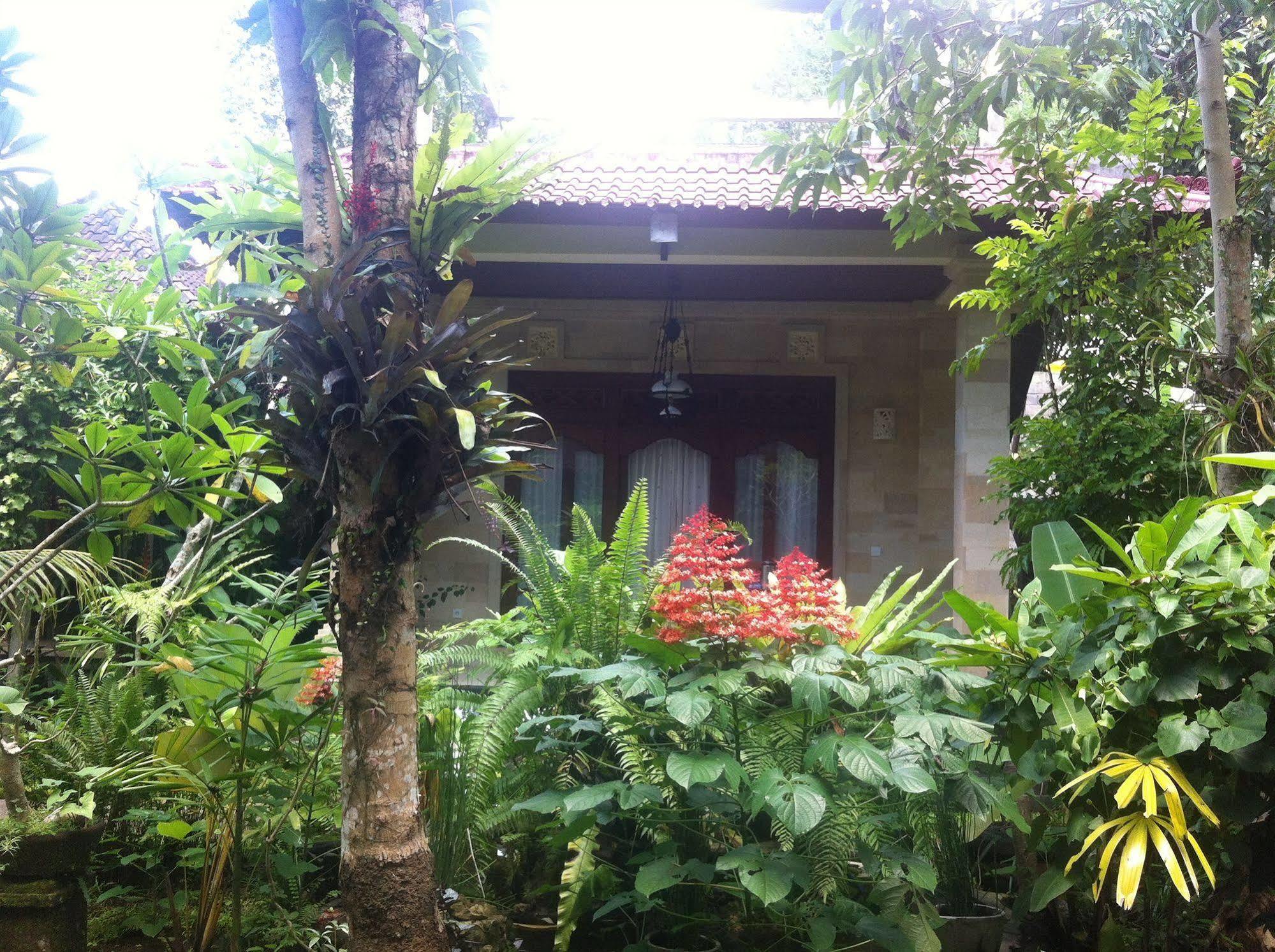 Karang Mesari Ubud Guest House 외부 사진
